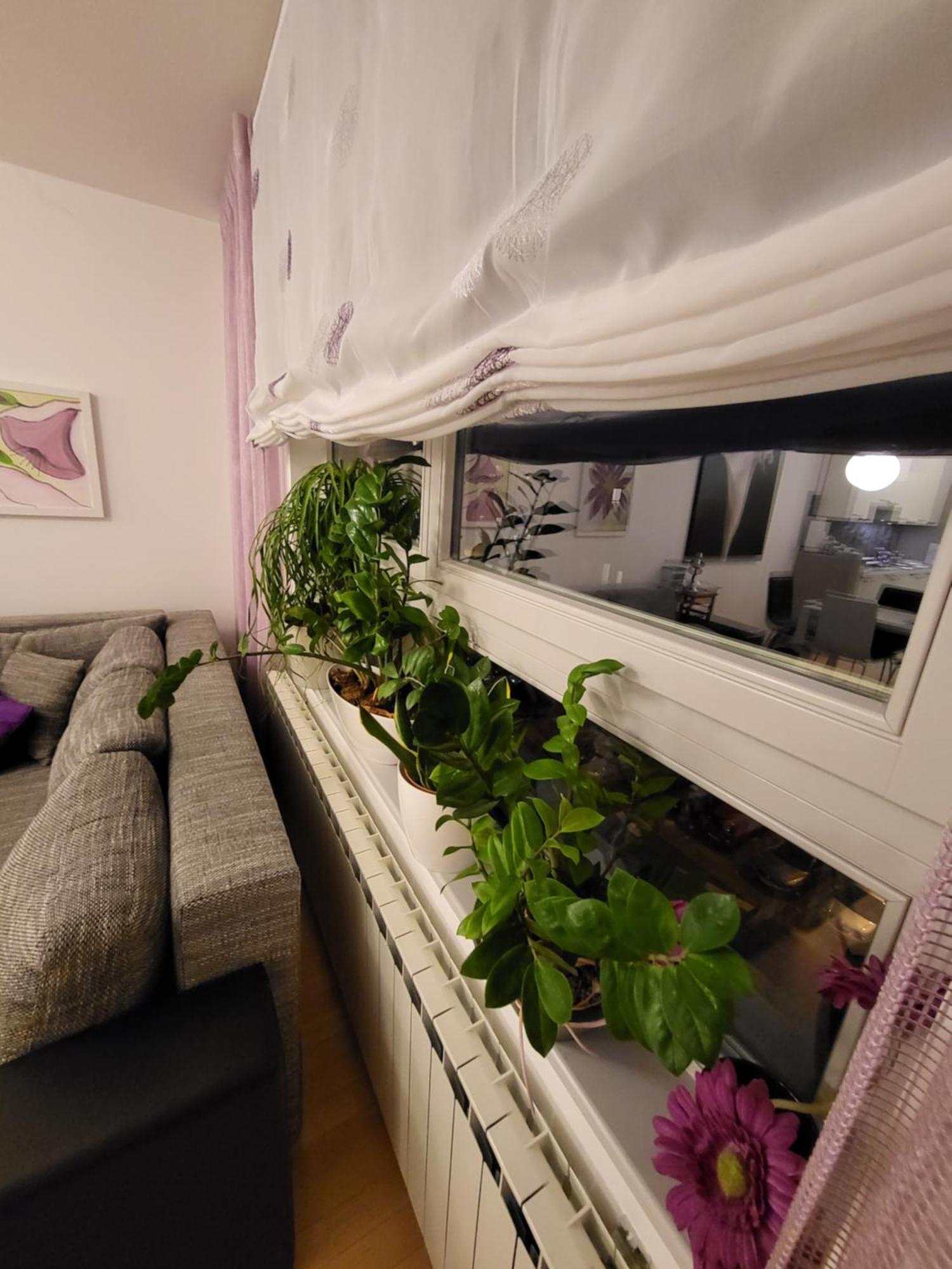 Apartman Jarun Lake Lux زغرب المظهر الخارجي الصورة